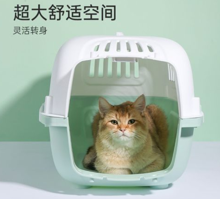 怎么邮寄宠物猫到外地 ，小猫如何托运到外地···